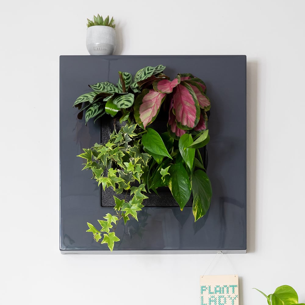 Mobilane Living Art Frame