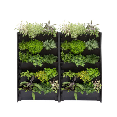 PlantBox Outdoor Living Wall with Herbs - 10