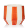 Orange stripey