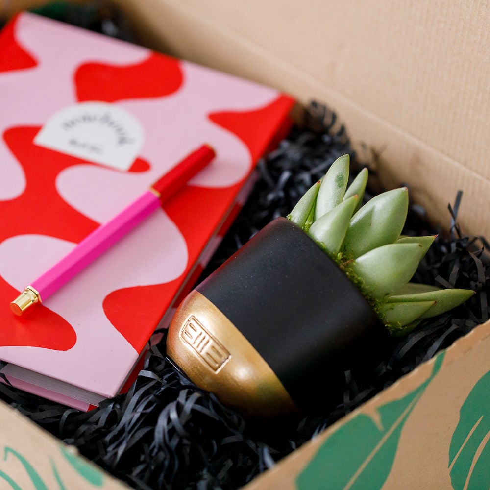 Focus and Flourish Gift Box