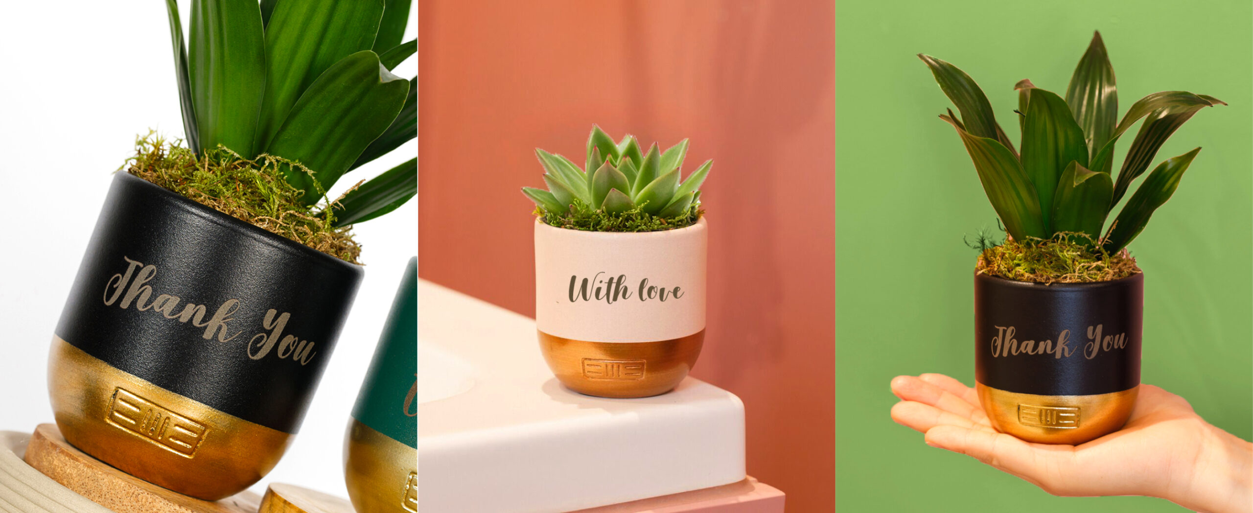 Personalised Pot FAQs | The Little Botanical
