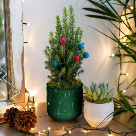 Mini Christmas Tree with Pom Pom Garland