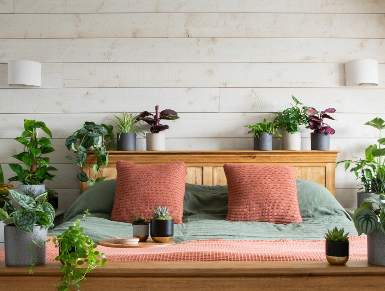 Homepage - air purifying block