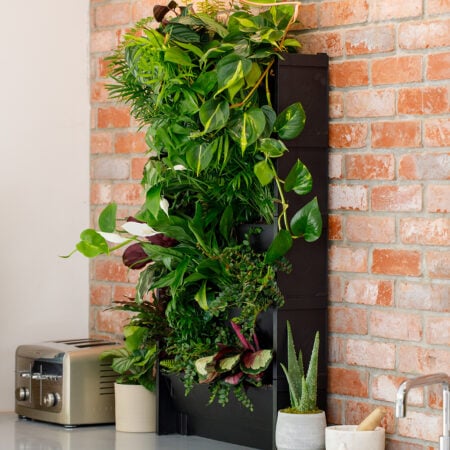 PlantBox Living Wall Troughs