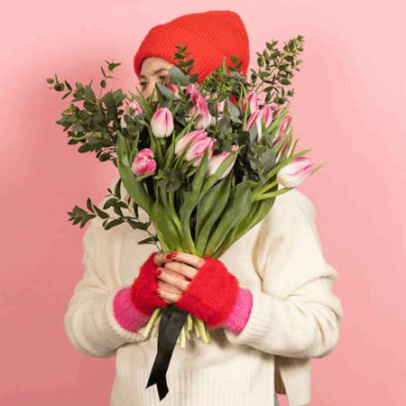 Limited Edition – The Tulip Garden