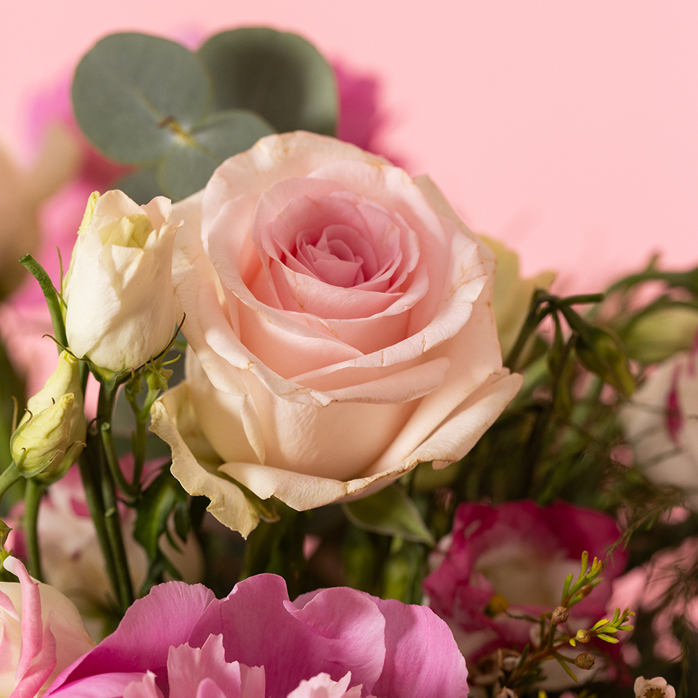 Chelsea Flower Show Bouquet Perfectly Pretty and Pink Peonies (Limited Edition)