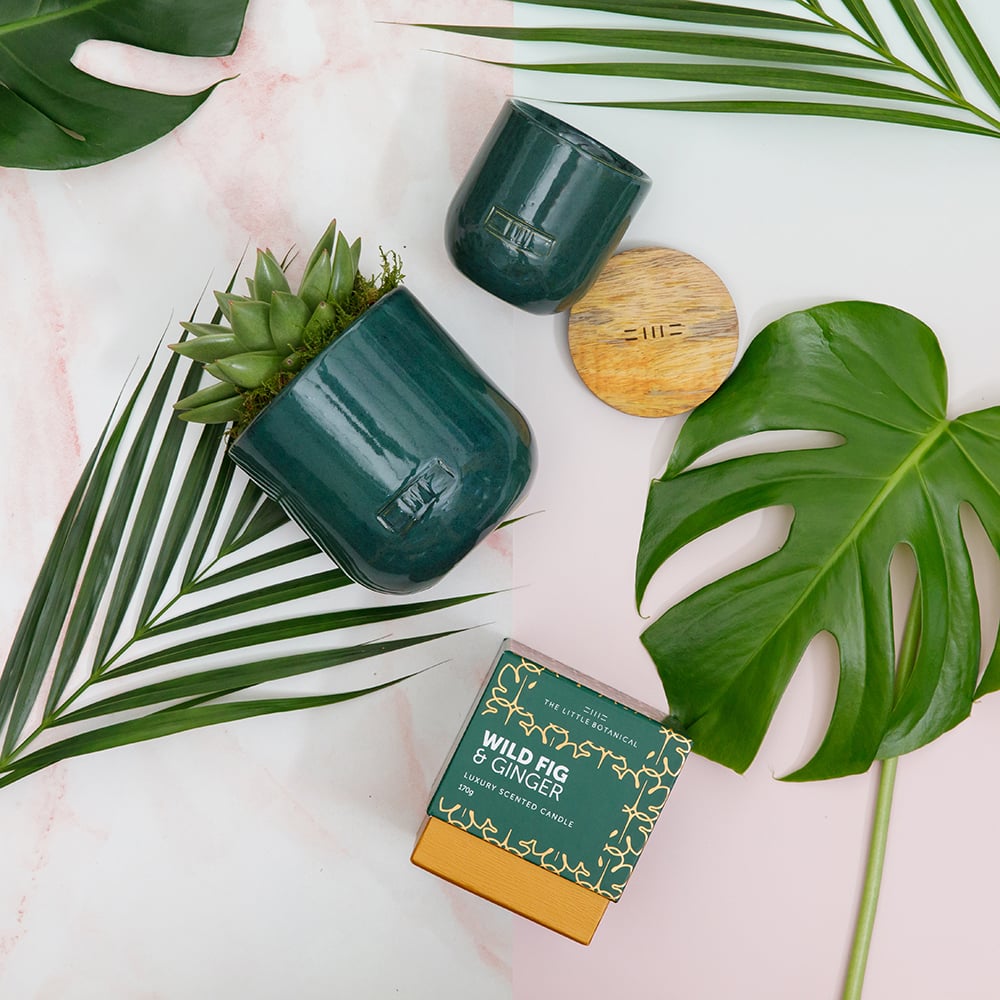 Forever Green Candle