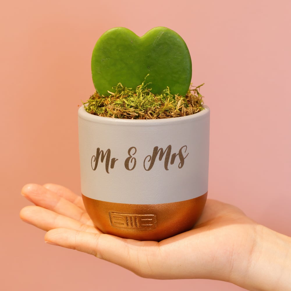 Personalisation Hoya Heart