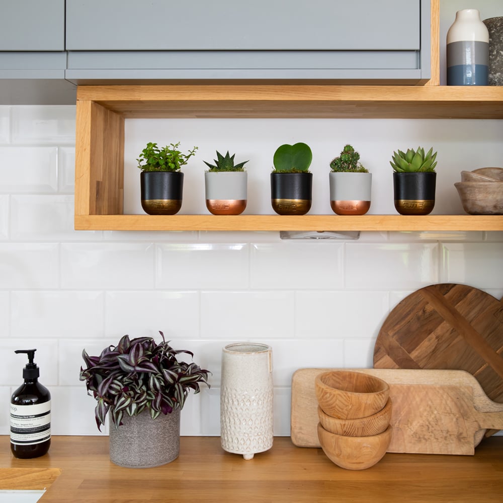 Shelfie Bundle