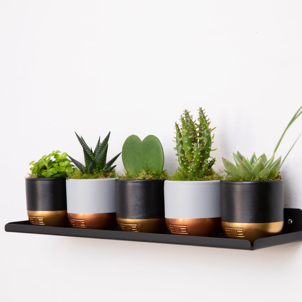 Shelfie Bundle