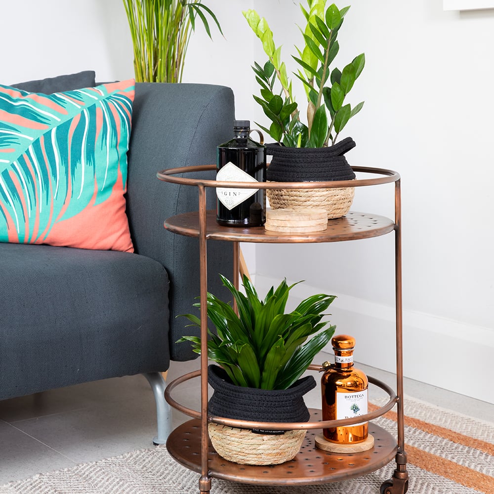 Easy Care Bundle