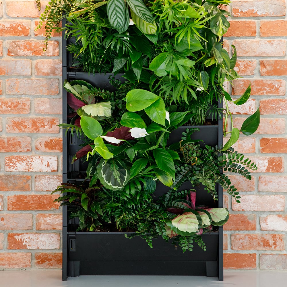 Living Wall