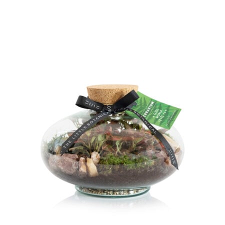 Large Globe Terrarium