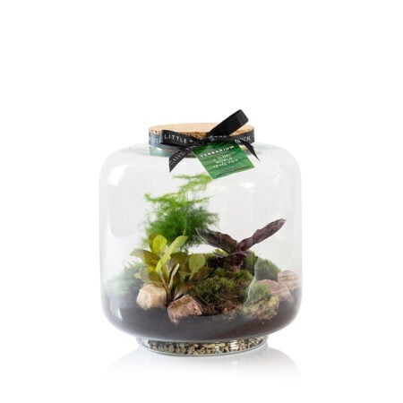 Large Round Glass Terrarium