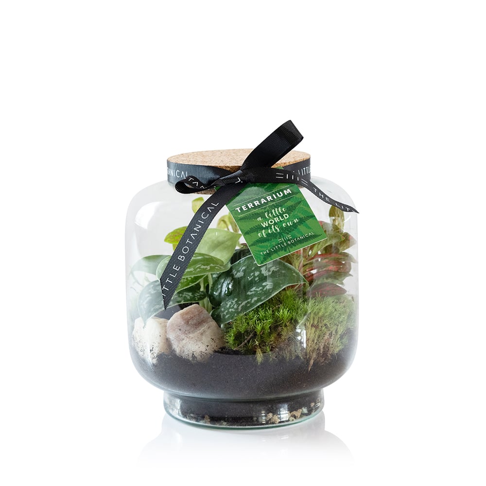 Round Glass Terrarium