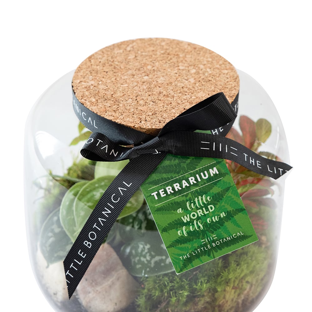 Round Glass Terrarium