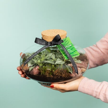 Large Globe Terrarium