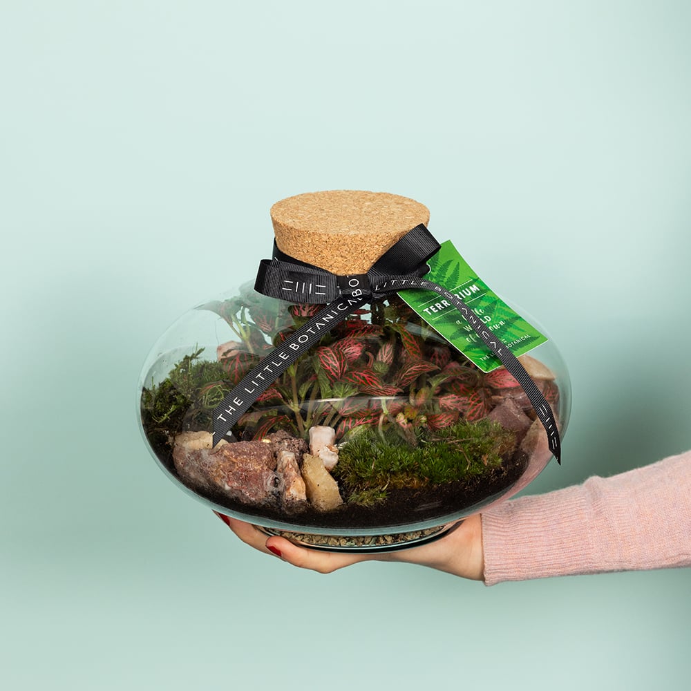 Large Globe Terrarium