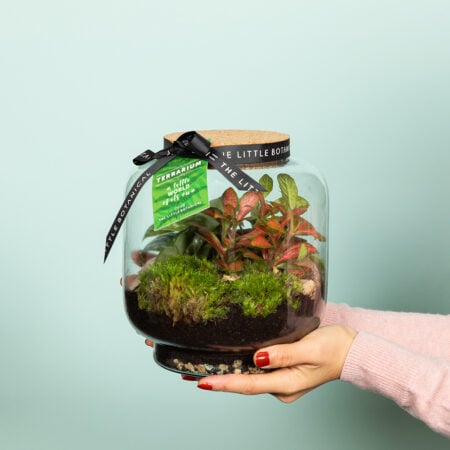 Round Glass Terrarium