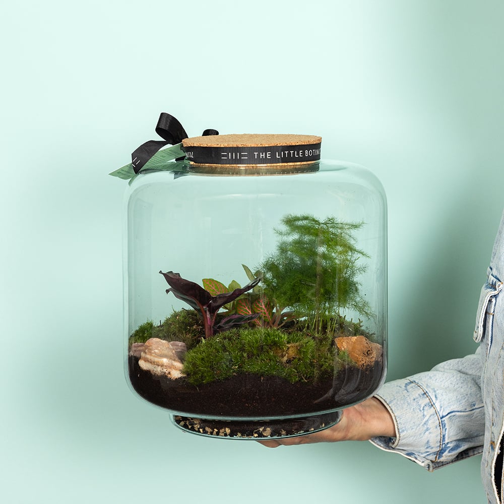 Large Round Glass Terrarium
