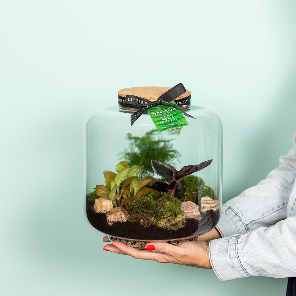 Large Round Glass Terrarium