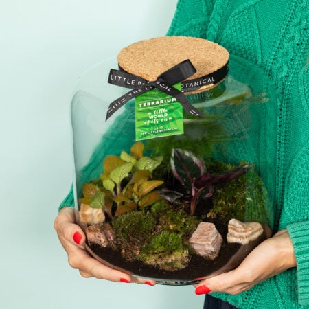 Round Glass Terrarium