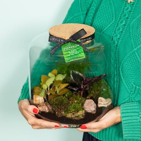 Large Round Glass Terrarium
