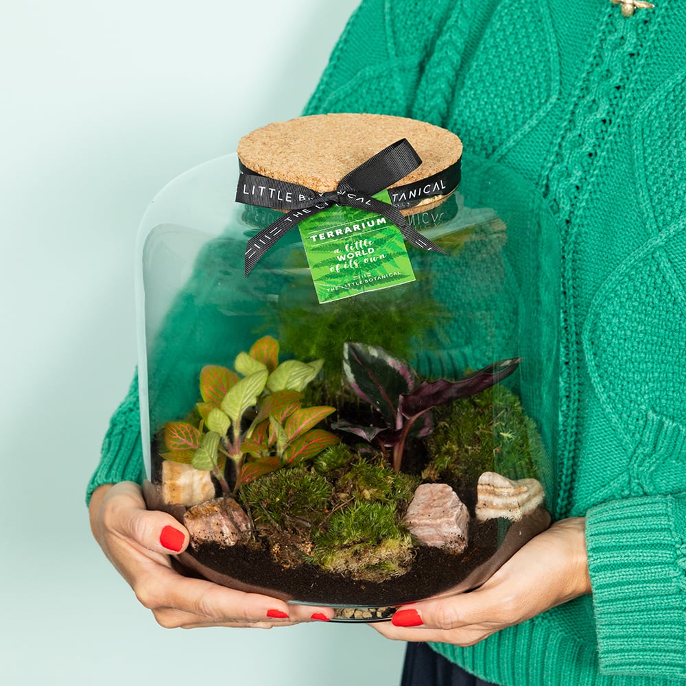 Large Round Glass Terrarium