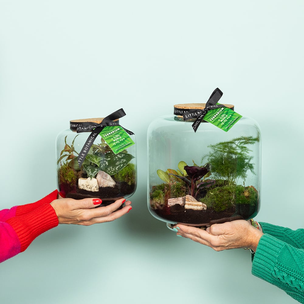 Round Glass Terrarium