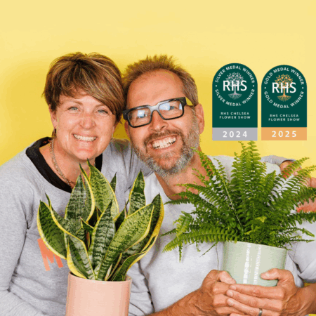 The Little Botanical Houseplants Flowers Delivered Nationwide the-little-botanical-houseplants-flowers-delivered-nationwide