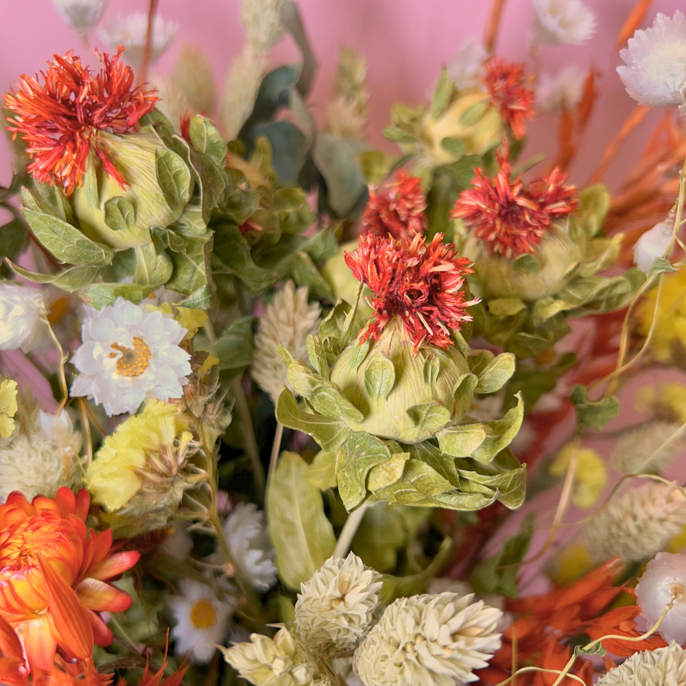 Dried Flowers Large Orange (3)