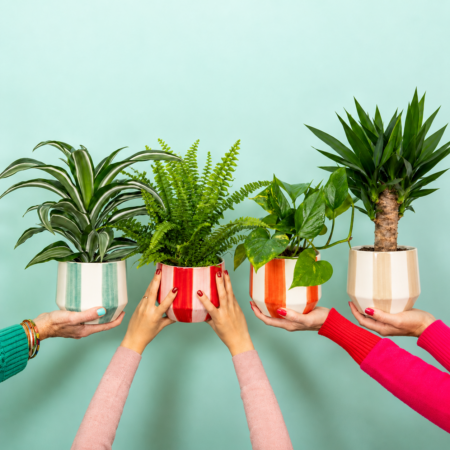 Stripey Houseplant Pot