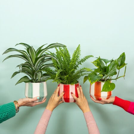 Stripey Houseplant Pot
