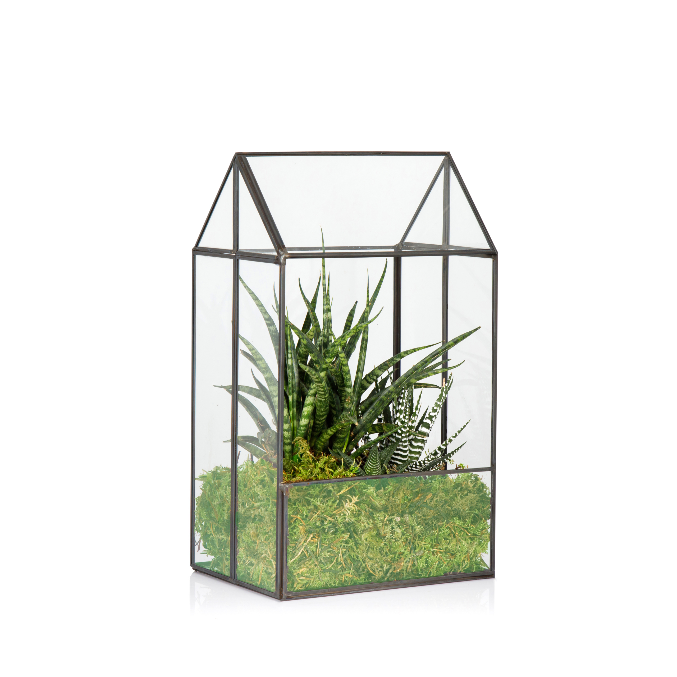 DIY Terrarium Kit The Little Botanical