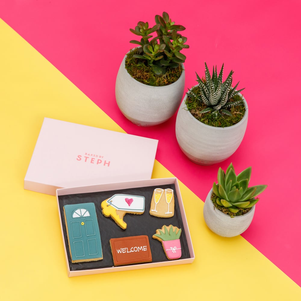 New Home Plants and Vanilla Biscuit Gift Set The Little Botanical